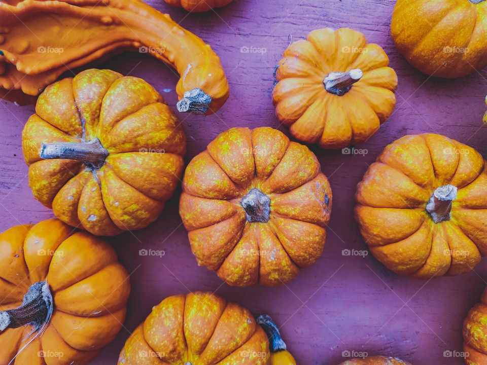 Ornamental pumpkins on a purplish mauve color painted wood surface.