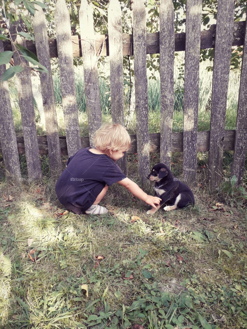 child and a funny puppy