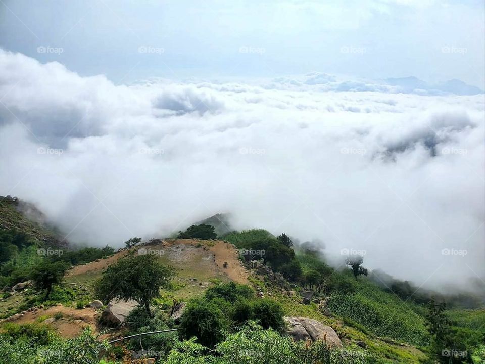 Glory be to God, the magnificent and picturesque view and the natural green trees are a view that is nothing more wonderful than it