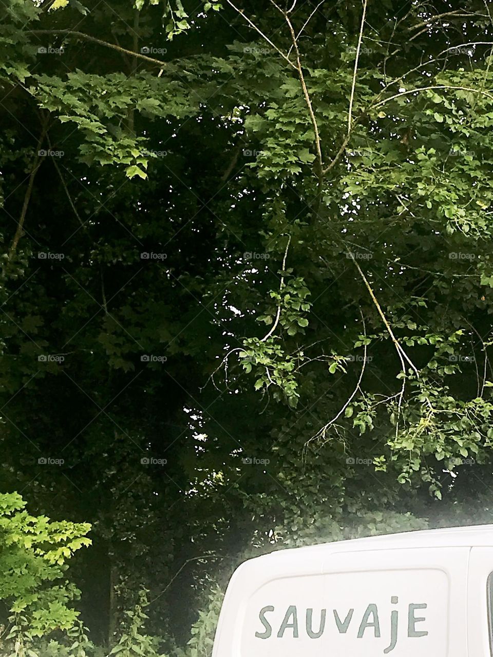 I don't knowing how certain can make humor on wilderness