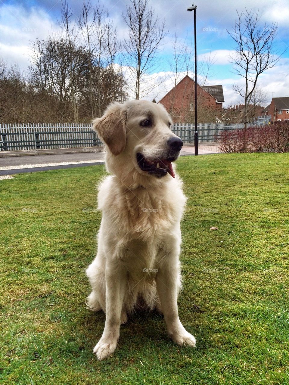 Silly Zoe loves to pose