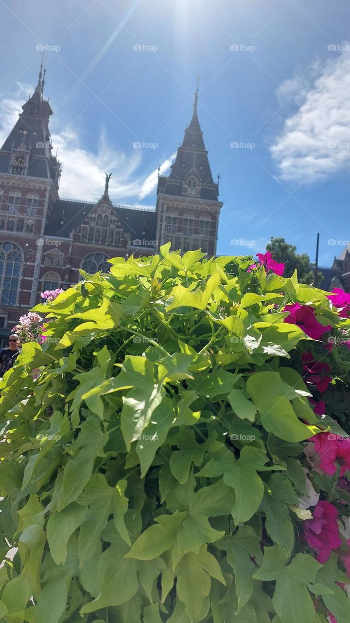 Rijksmuseum Amsterdam