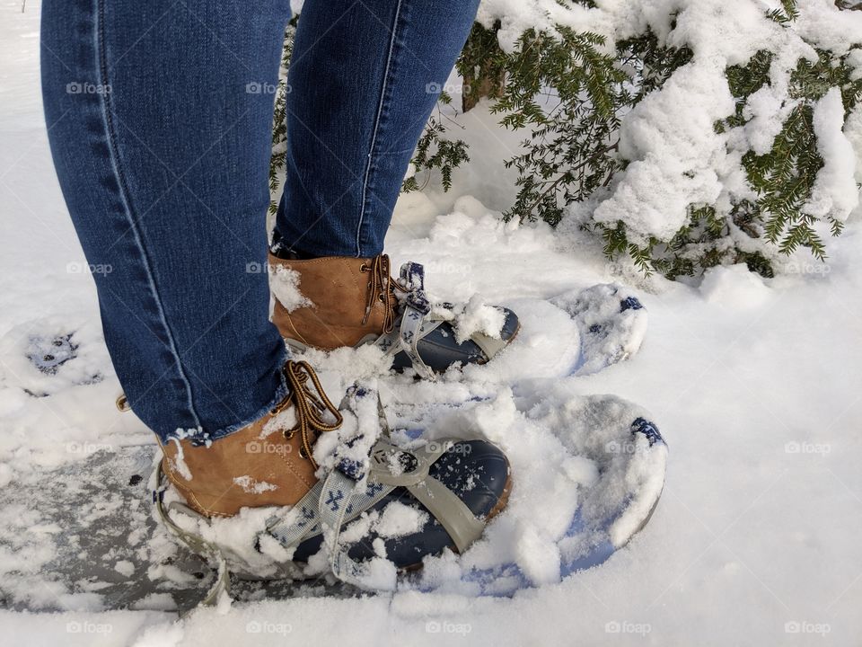 snowshoeing