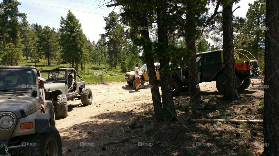 Hanging out in the shade having Some lunch ... deciding what trail to take next.