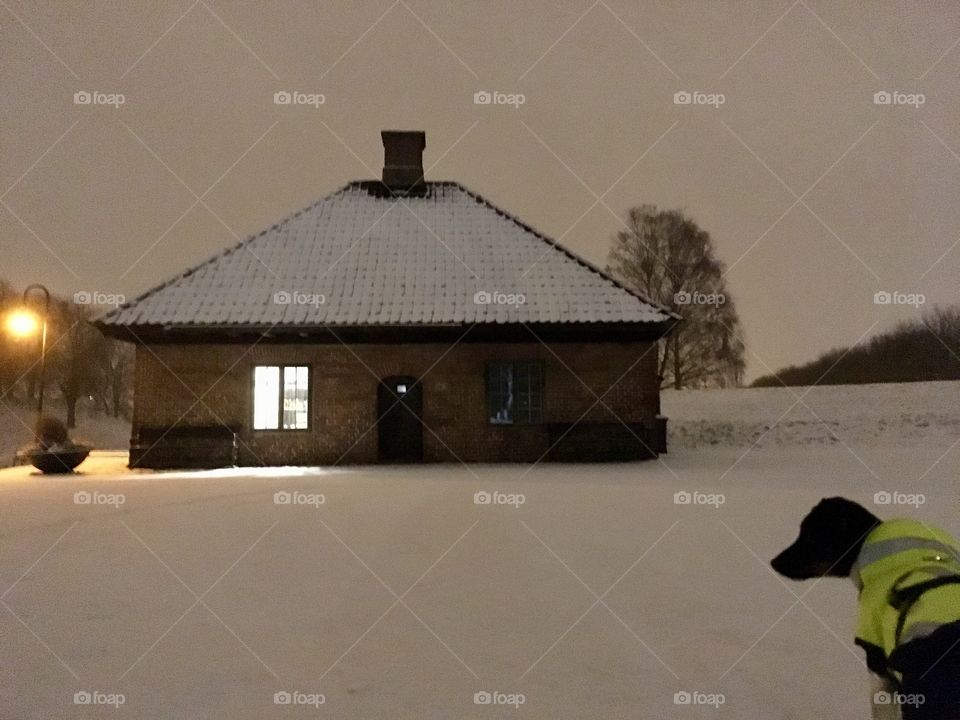 Home in the winternight!