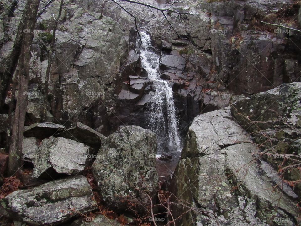 Wood, Tree, Nature, Rock, Environment