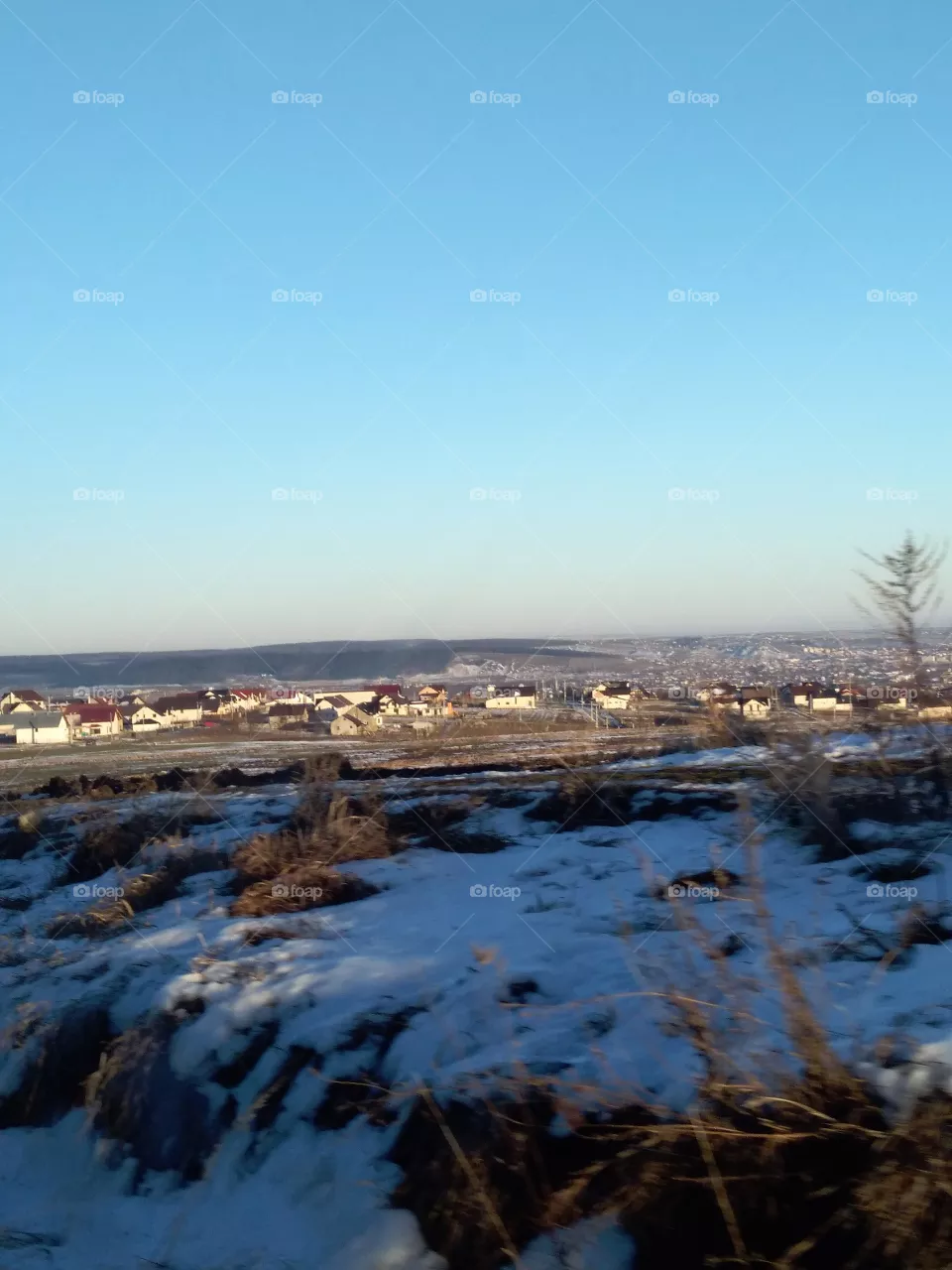 winter