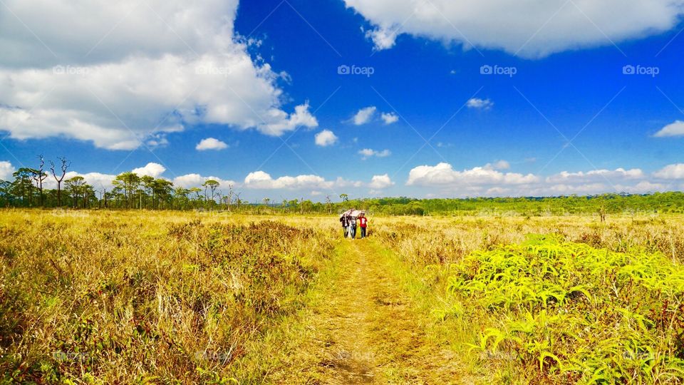 Landscape, Agriculture, No Person, Field, Rural