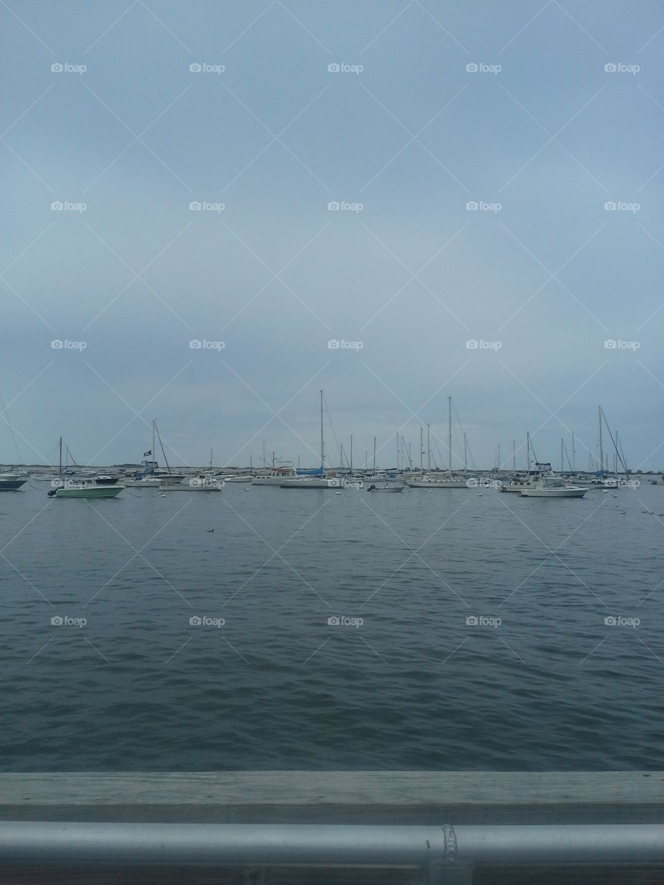 harbor. these were at Plymouth Massachusetts