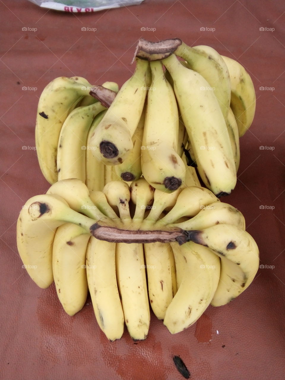 banana,bananas picture,A great photo,a photo for everyone,a memorable photo,a no. photo,a photo to cherish,a beautiful photo,a great photo for the best people,an evergreen photo,a photo to remember for years, the best result of great photography