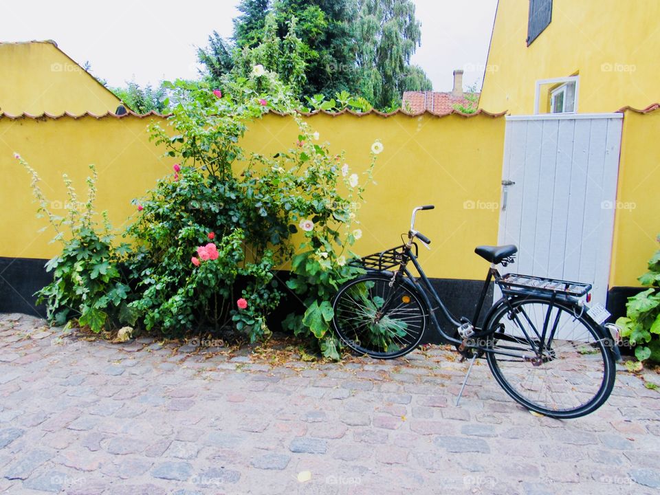 Time to ride the bike