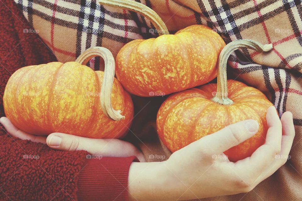 A young woman in a red jacket and plaid scarf holds three small pumpkins in celebration of the Fall season