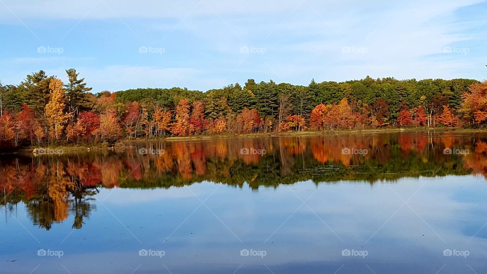 Fall in New England
