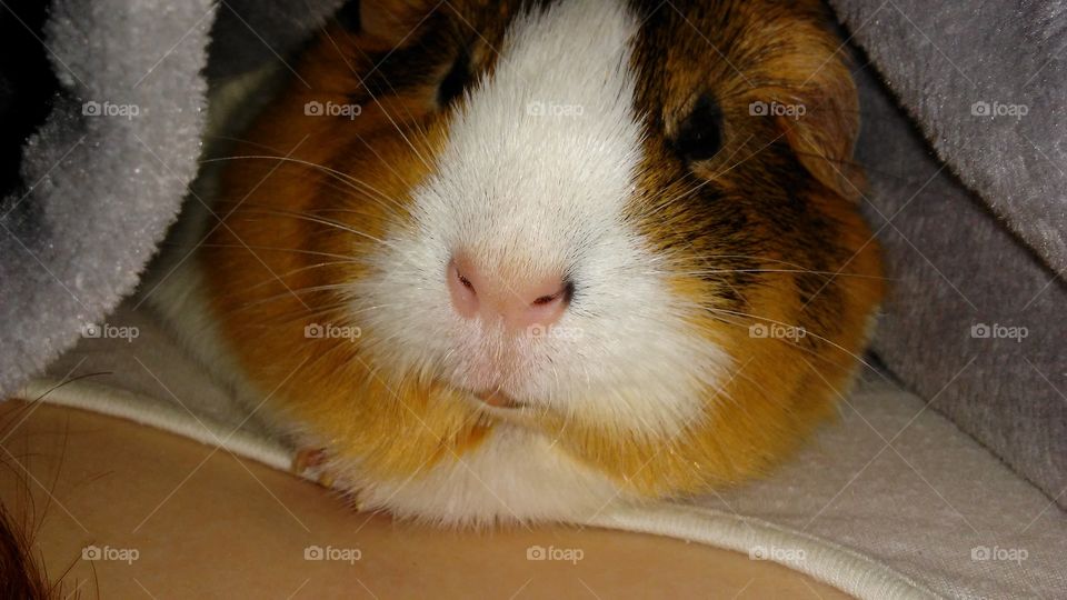 Medicine, Donation, Education, Abstract, Desktop