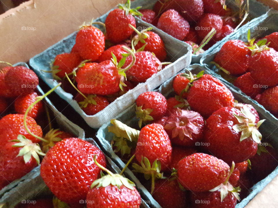 Fresh strawberries