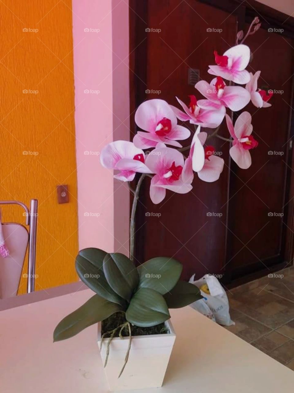 Orquídeas