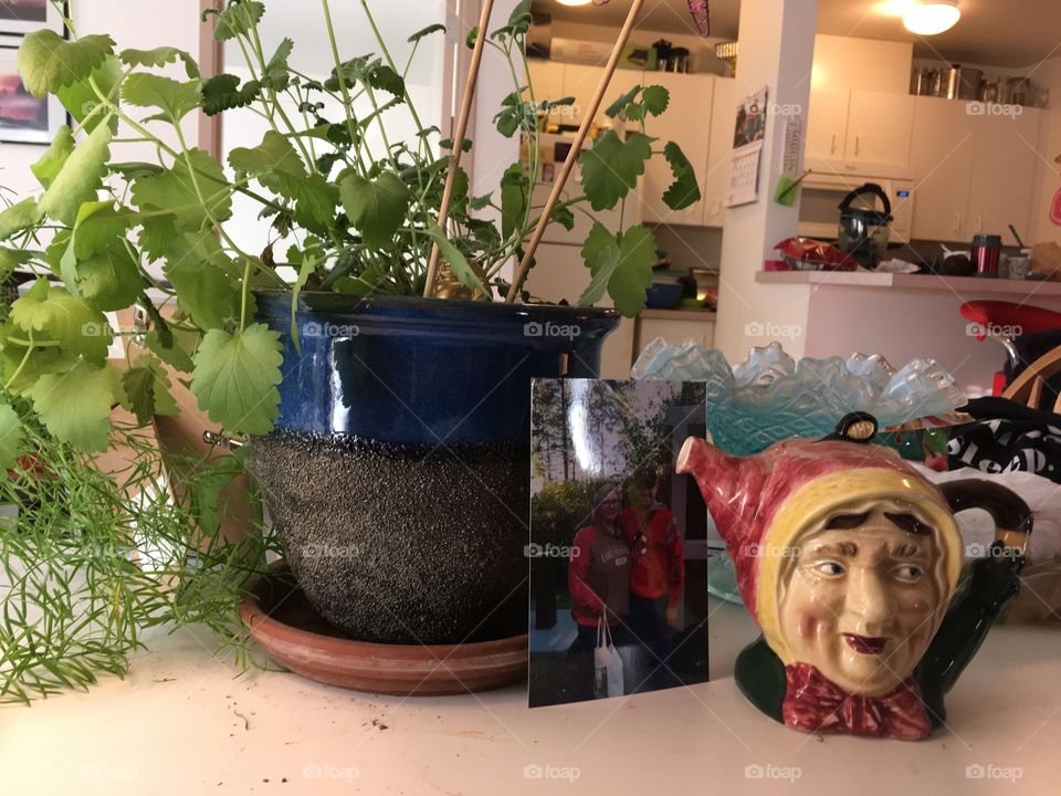 Vintage granny Teapot vignette with plant 