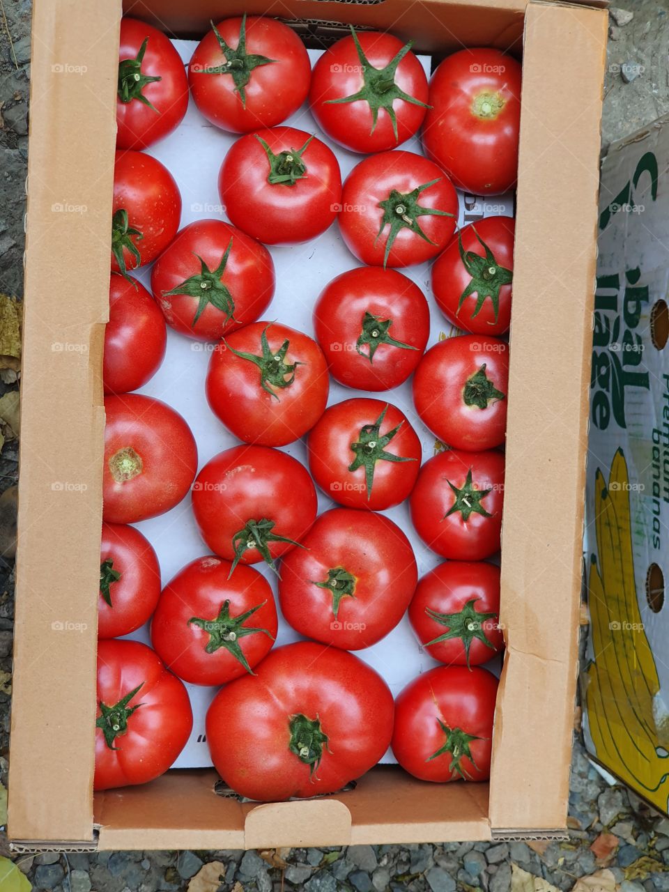 box with red tomatos