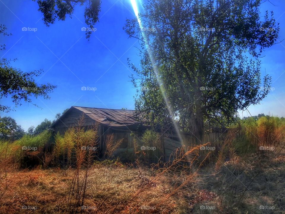 Old Barn At Midday 1