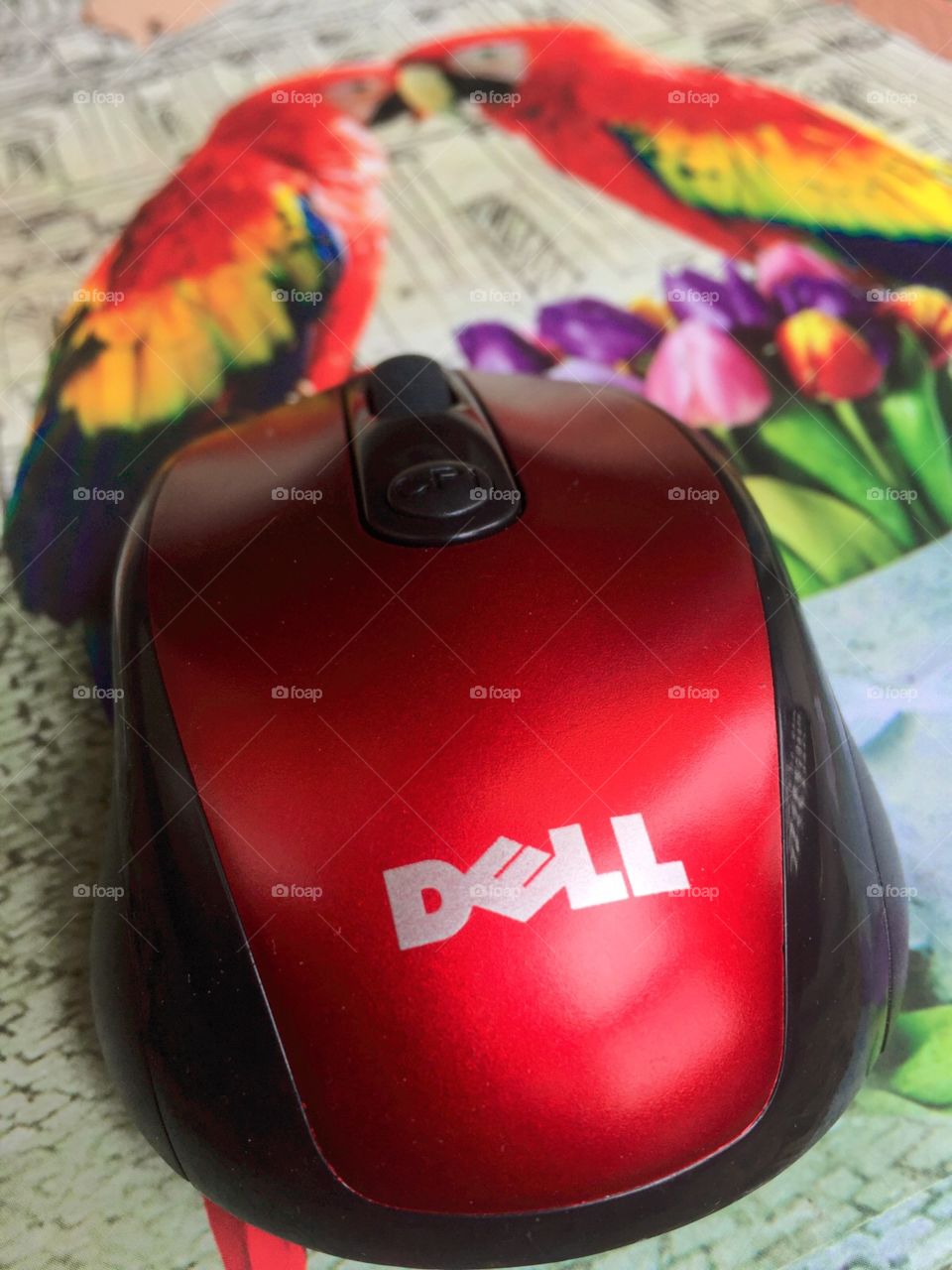 DELL mouse.