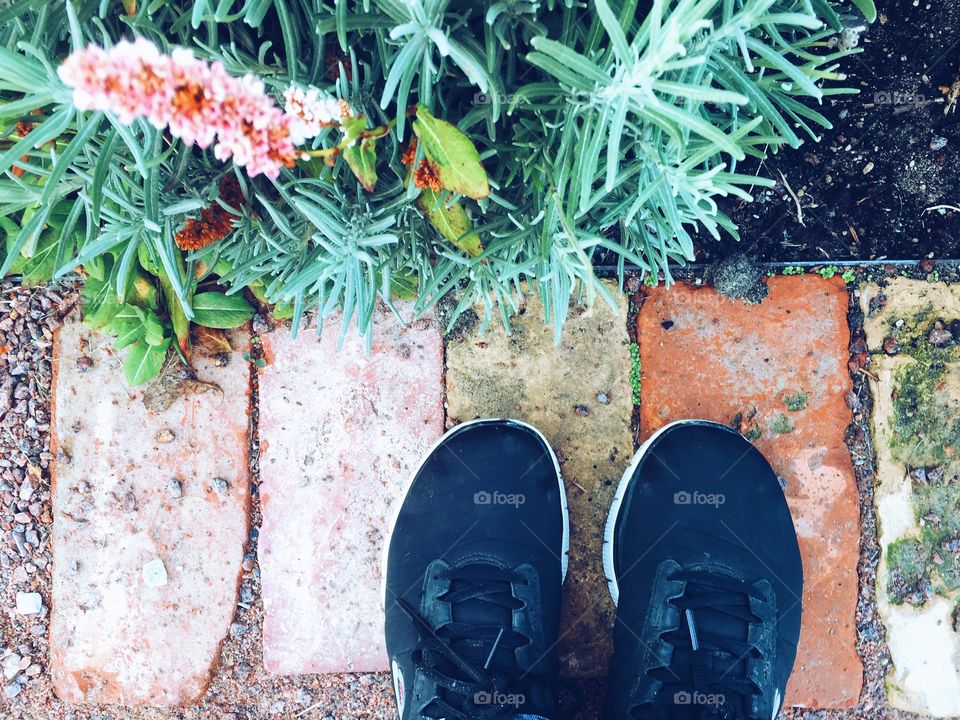 Standing in a public garden between plants, flowers and bricks 