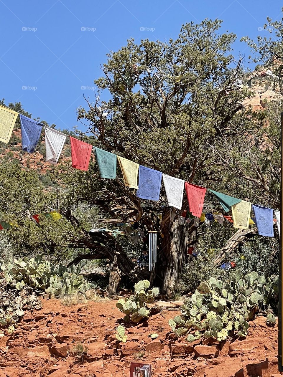 Perfect site for meditation 🧘‍♀️