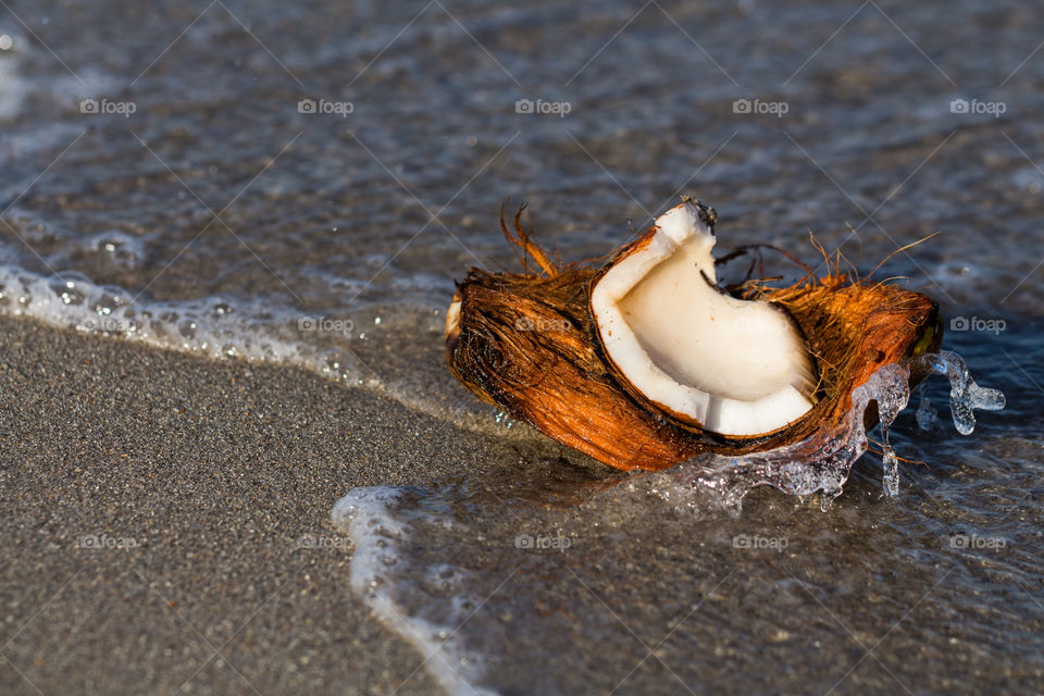 fresh coconut