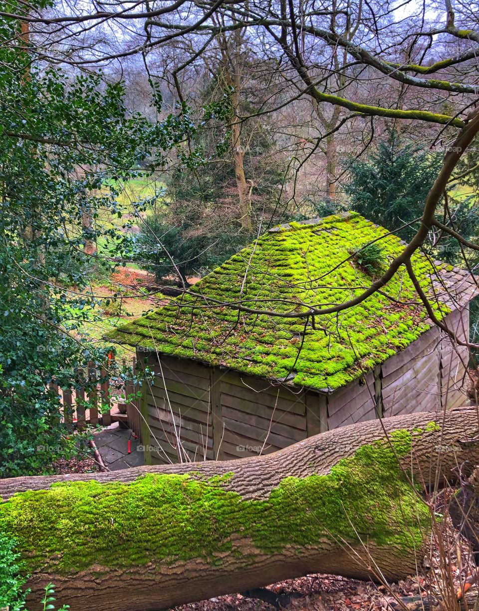 Moss on roof, National Trust Prior Park. Bath, Somerset. 