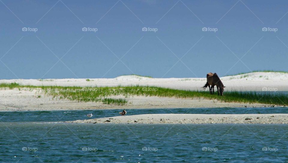 awesome beaches and cliffs