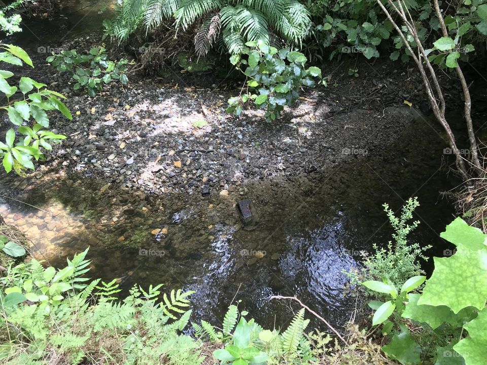Random river with green natural atmosphere.
