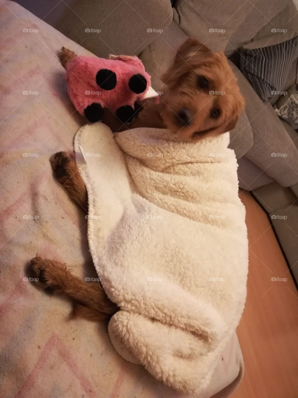 Chilling and pampered