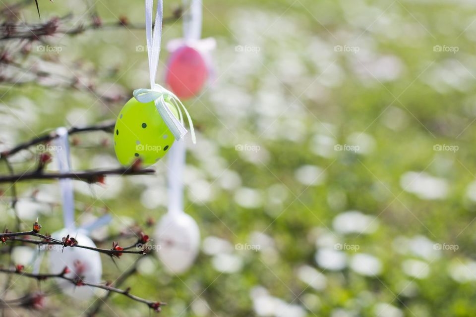 easter eggs hanging