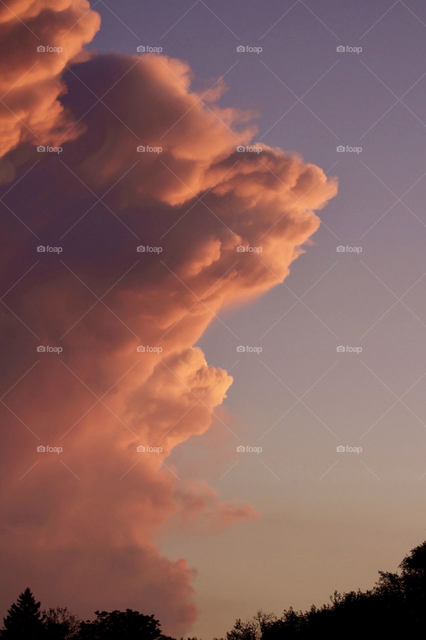 Isolated view of a colorful, dramatic tower of cumulonimbus clouds over a silhouetted tree line