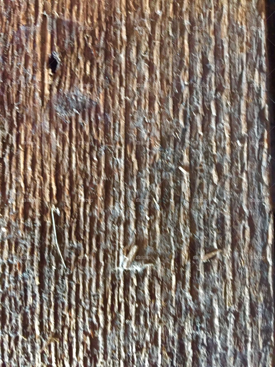 Creative Textures - wood surface