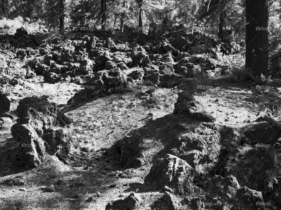 Hardened lava rock in Oregon 