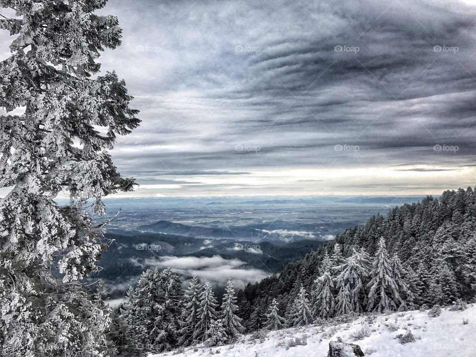 Winter mountain view