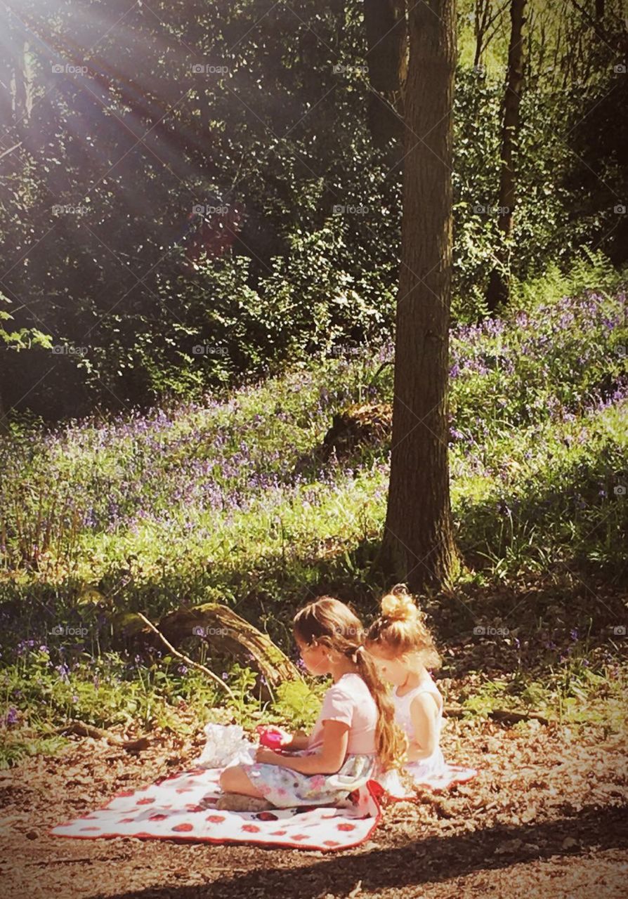 Girls having a picnic in woodland, amongst the bluebells