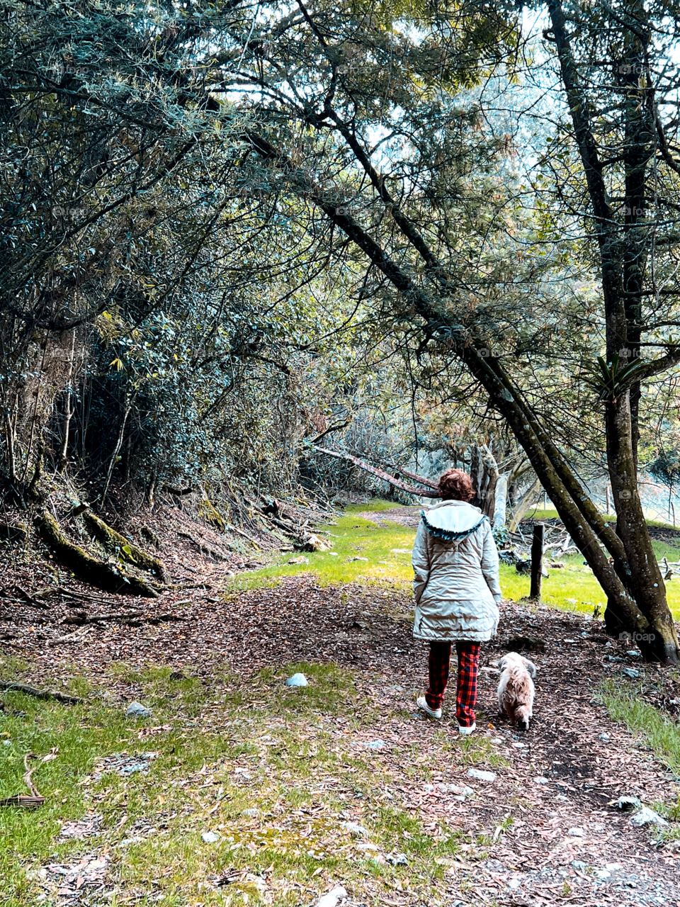 Persona caminando en un parque con el perro