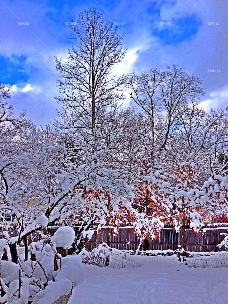 sky clouds polar vortex brr by jmh