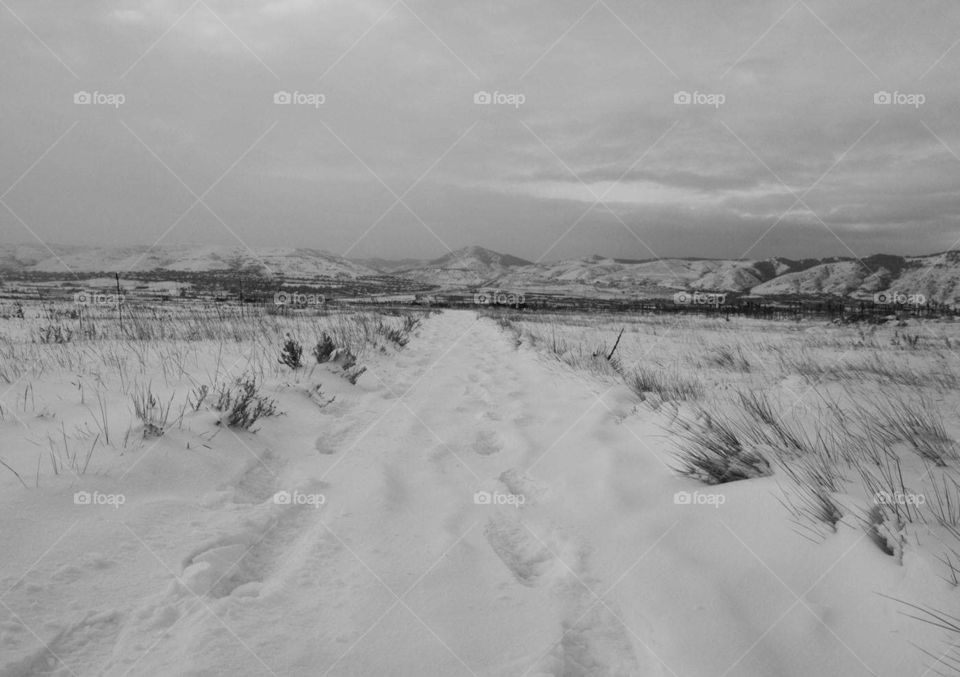Snowy path in the foothills of Colorado. 