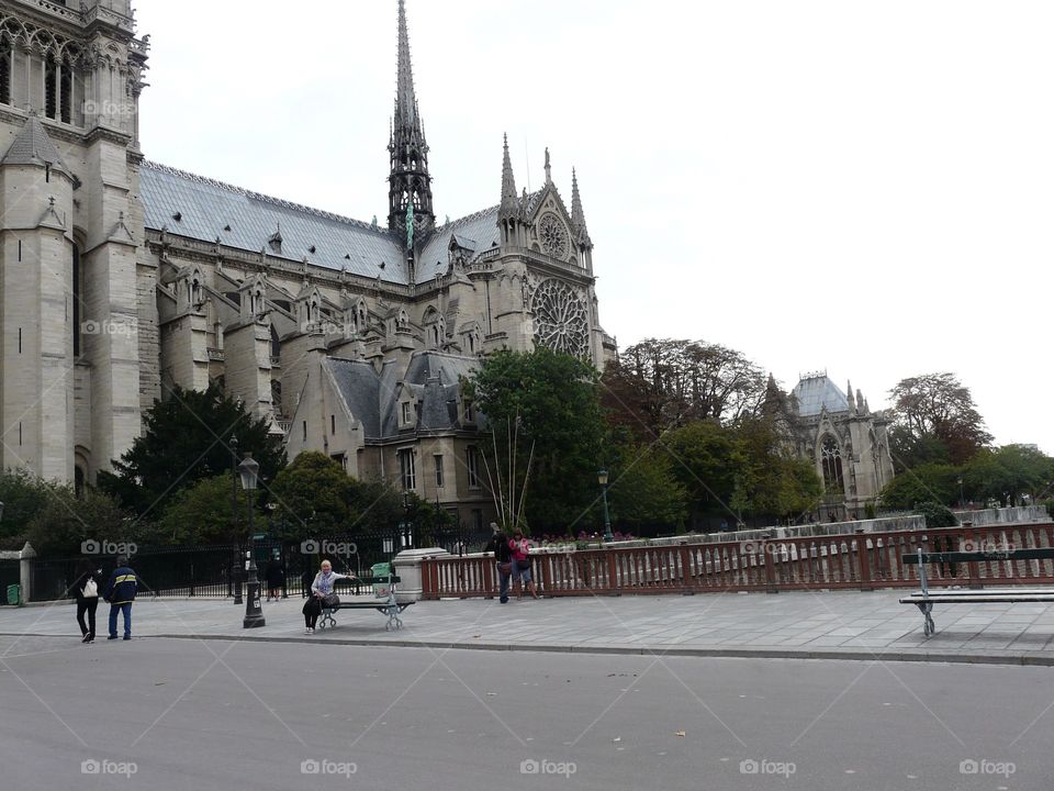 Catherdral of Our Lady of Paris