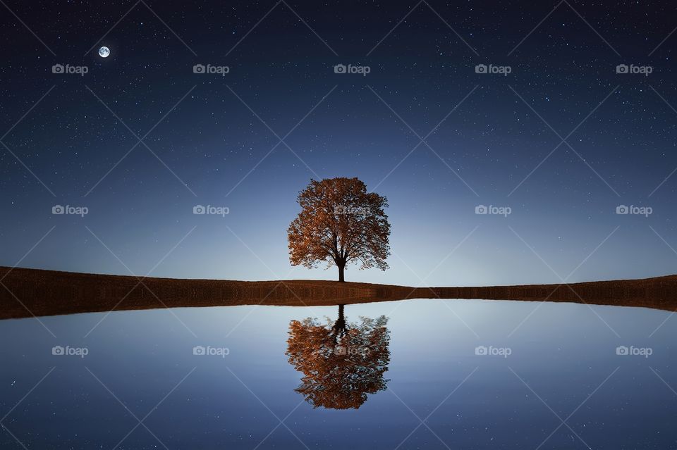 water mirror