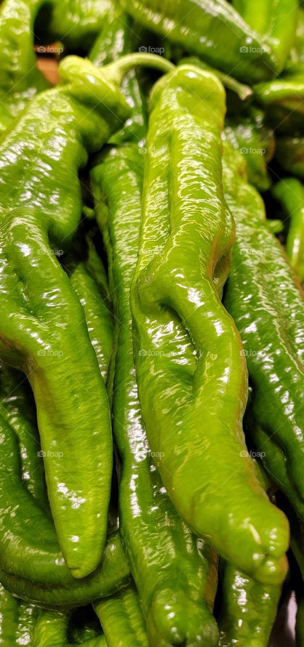 Green pepper