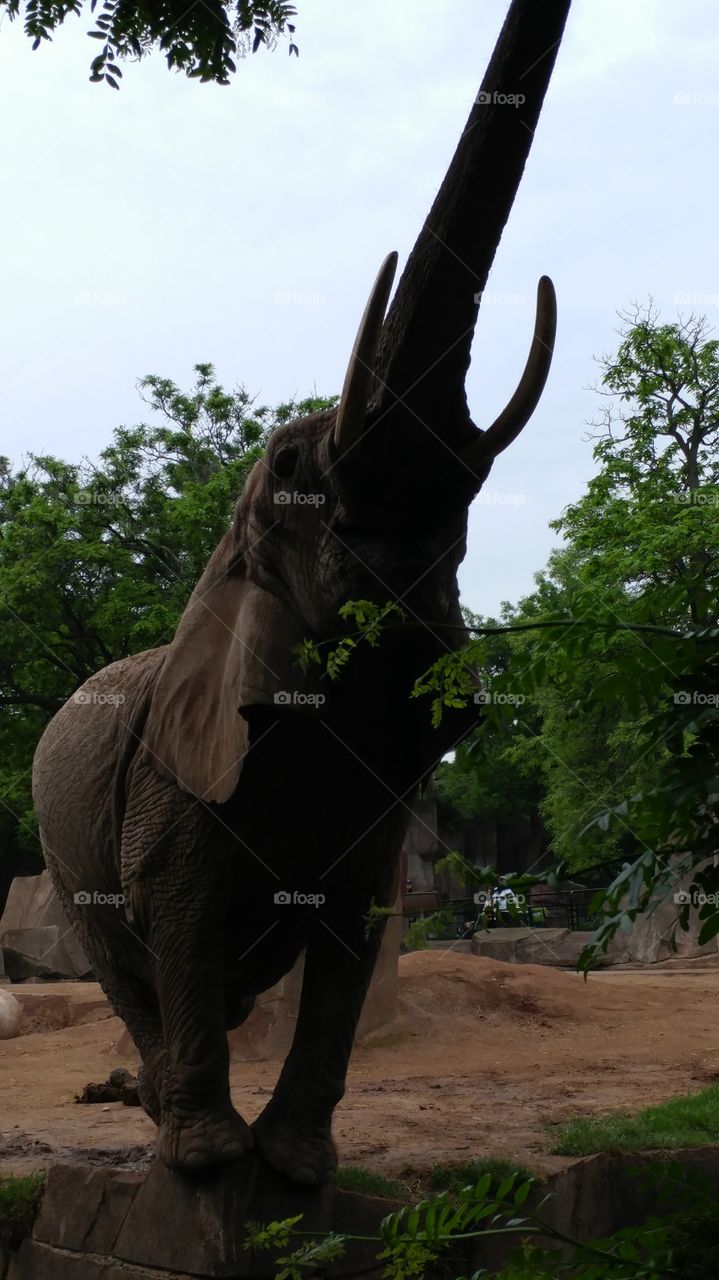 Ruthie reaching high in the sky