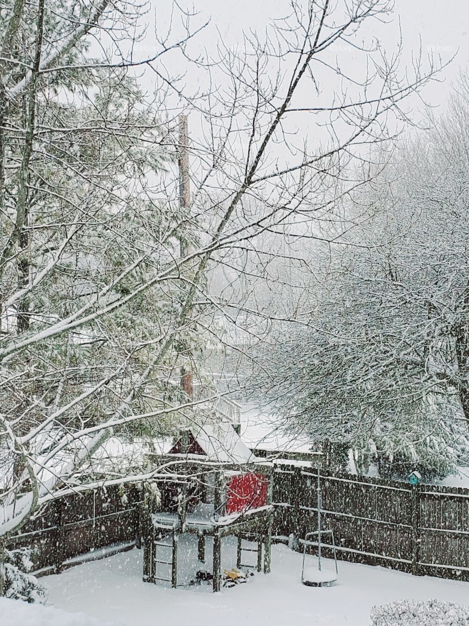 snowy yard