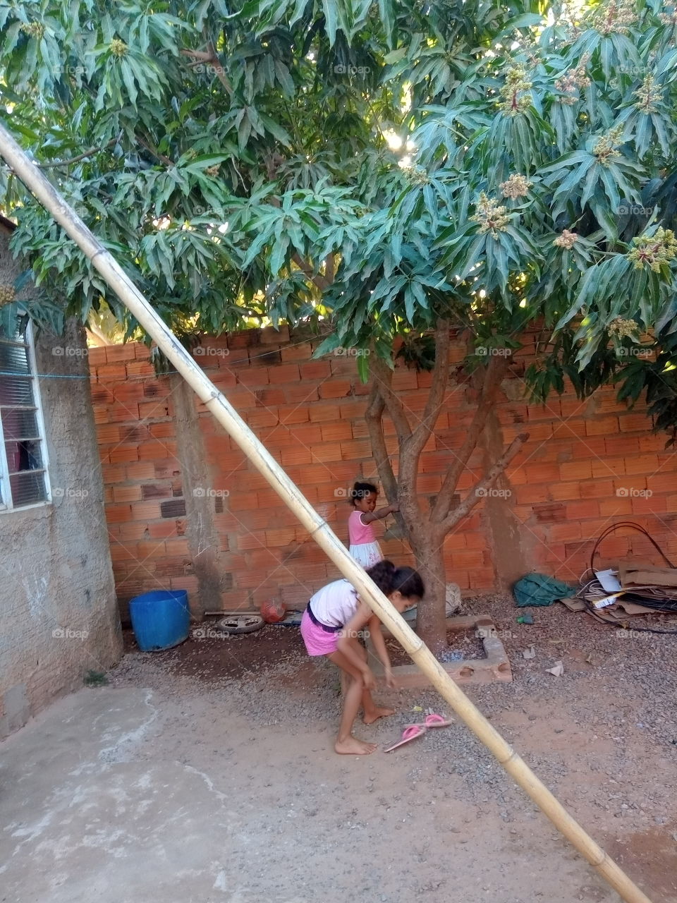 Crianças brincando!