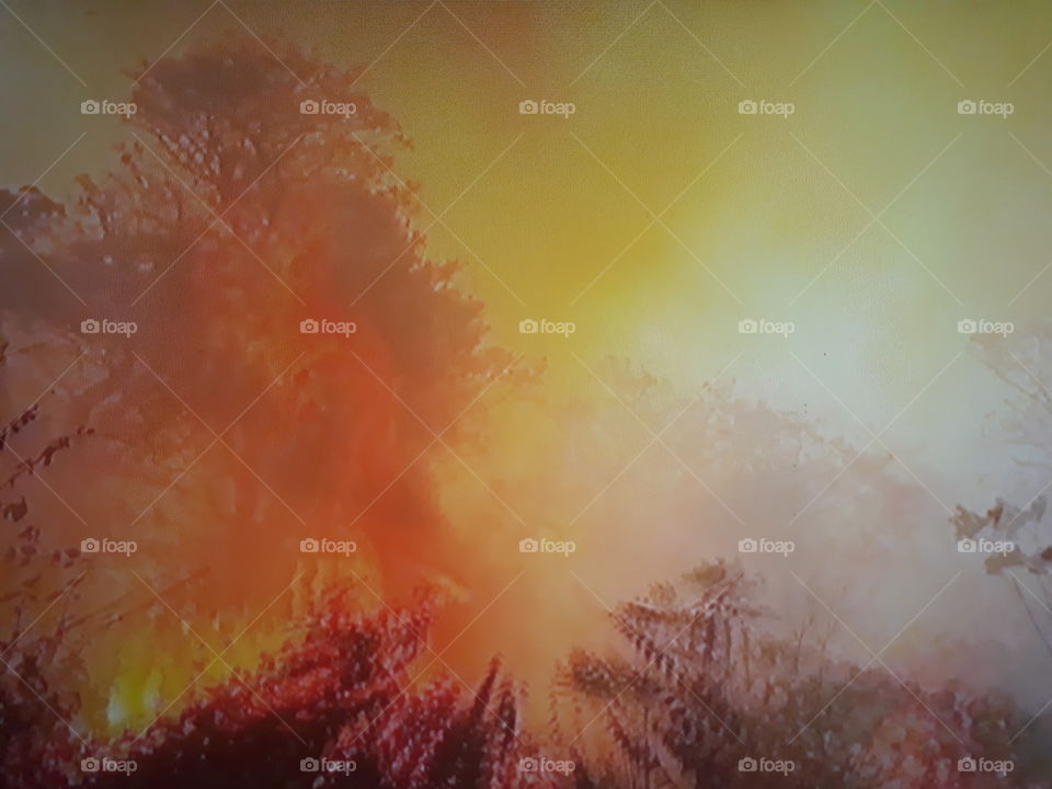 desastre e destruição ambiental