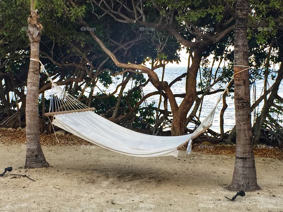 Hammock on the beach with trees and the ocean in the background 