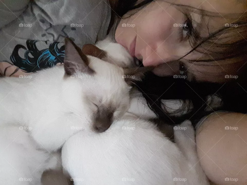 cat