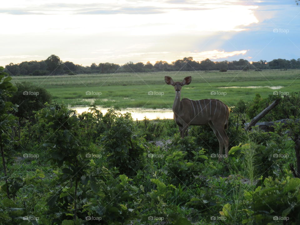 The calming affect of nature